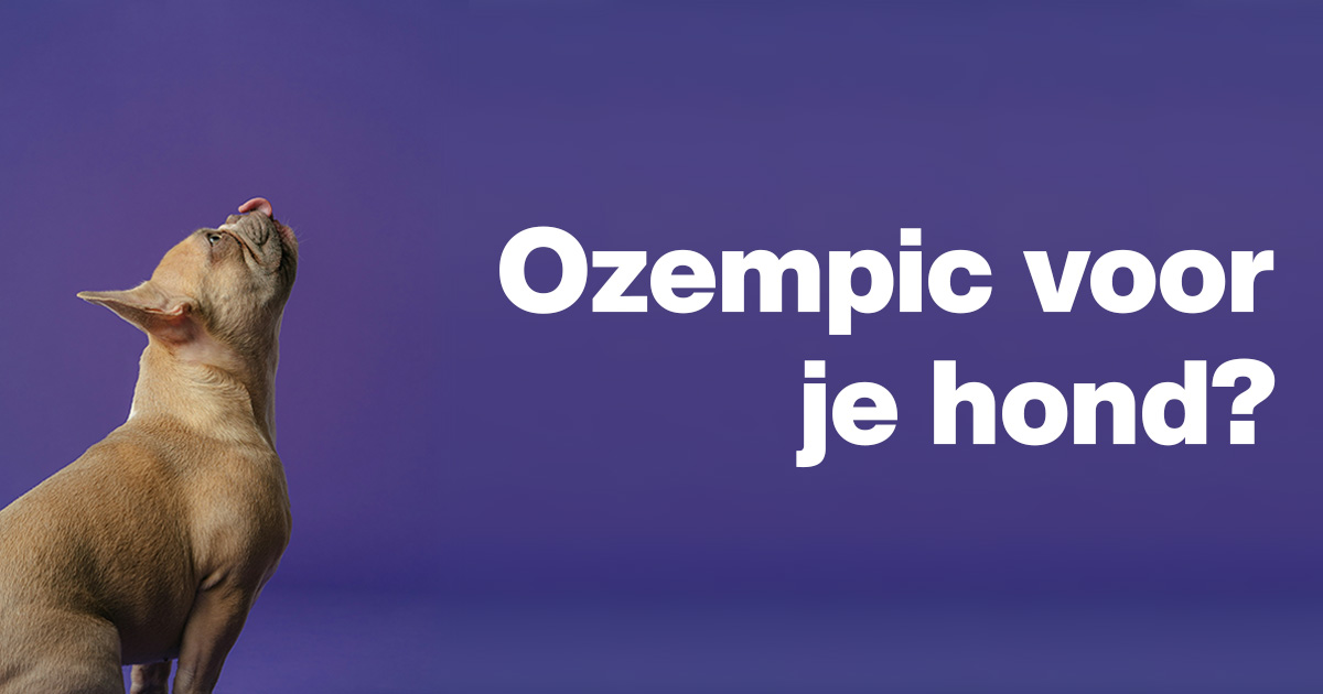 Ozempic voor je hond? Waarom afvallen soms noodzakelijk is (en wat je verzekering vergoedt)
