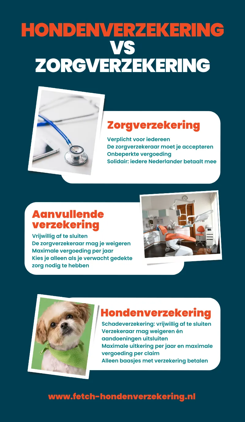 Infographic hondenverzekering vs zorgverzekering